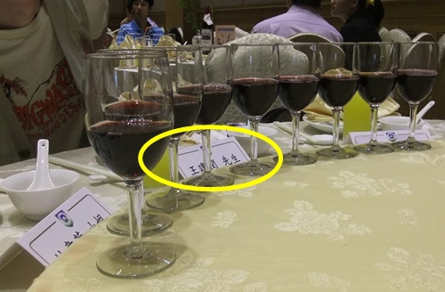 虛擬街頭漂流：記寵物先生（與我的交情）6